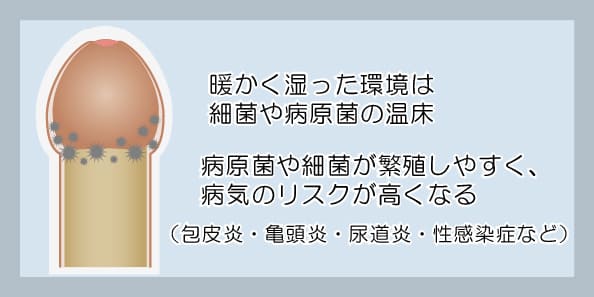 包茎は病原菌の温床